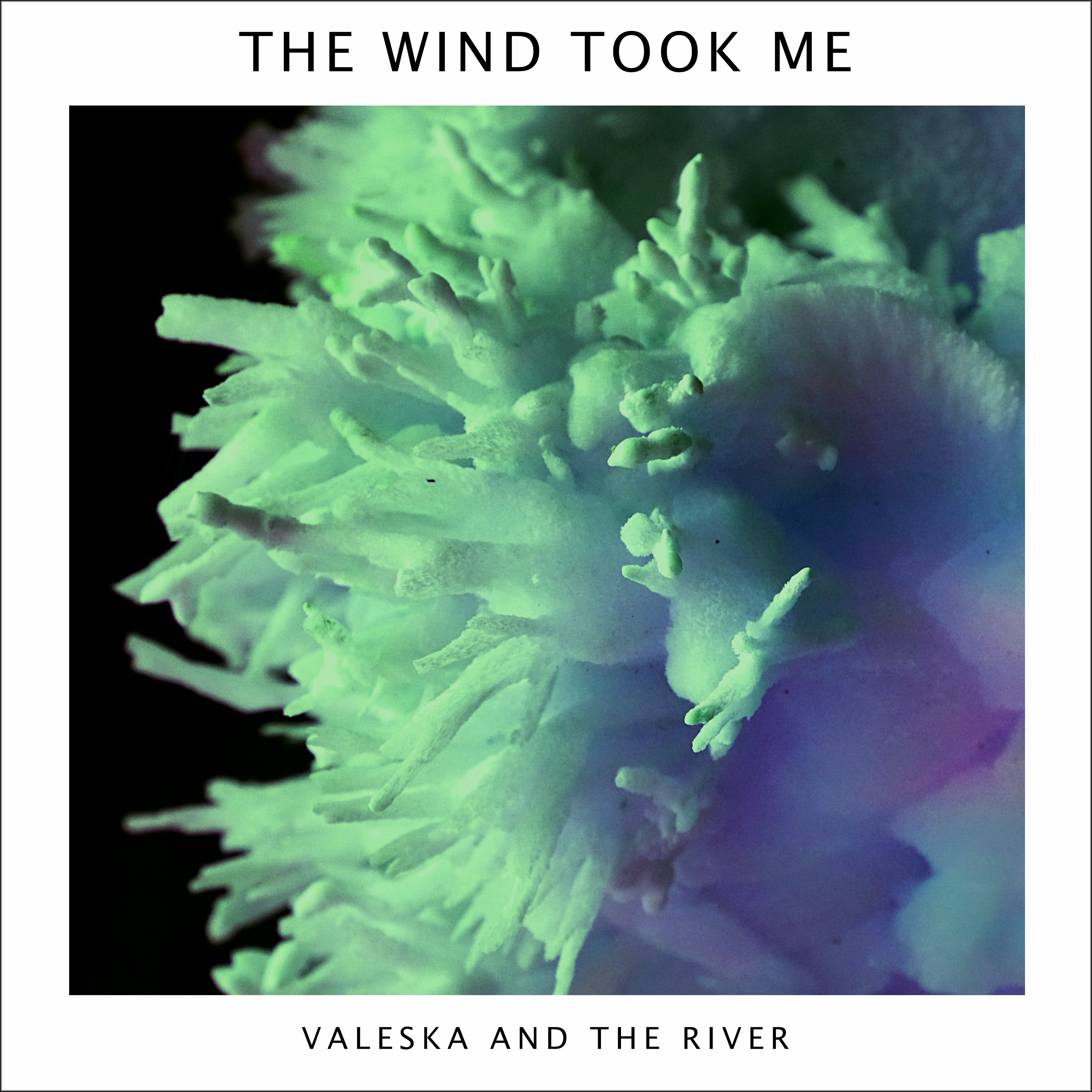 The Wind Took Me – Out Now