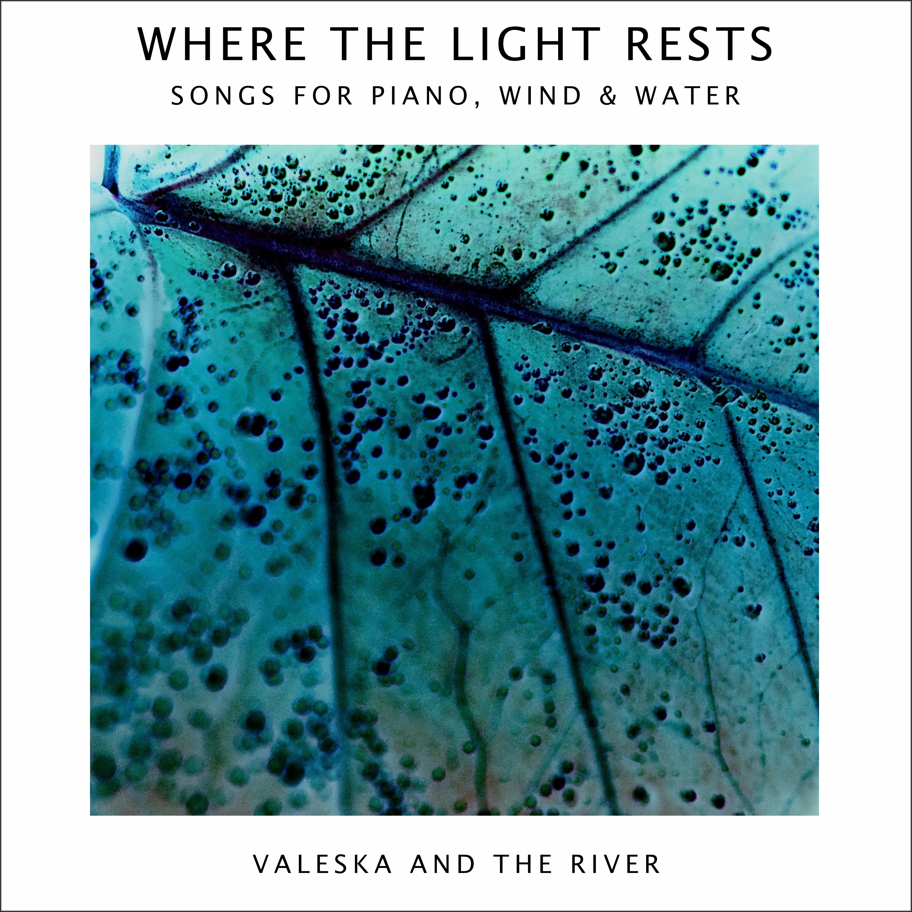 Where The Light Rests – EP – Out Now
